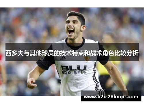 西多夫与其他球员的技术特点和战术角色比较分析 西多夫与其他球员的技术特点和战术角色比较分析